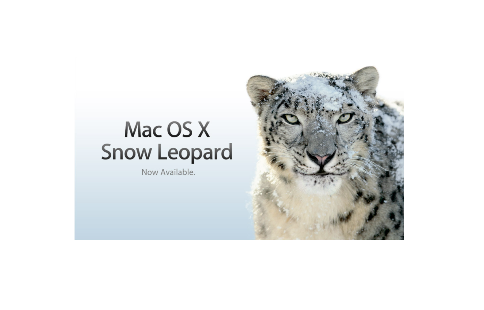 Apple Version 10.6 Snow Leopard Mac OS X Server iChat Server Administration